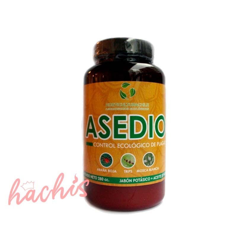 Aceite de neem + jabón potásico como control ecológico contra las